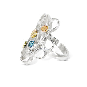 Whirlpool Plunge Ring